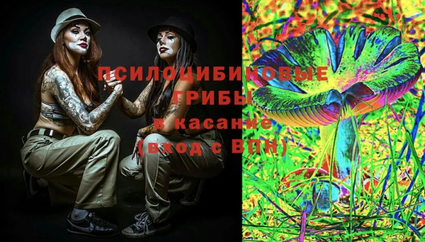 ECSTASY Баксан