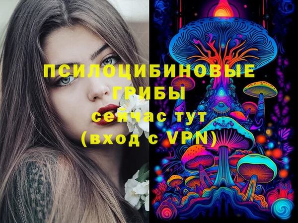 ECSTASY Баксан