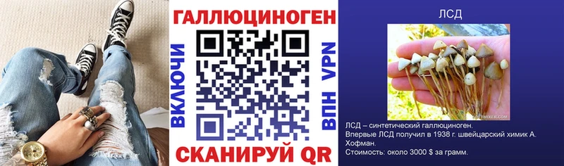 Галлюциногенные грибы прущие грибы  где продают наркотики  Горняк 